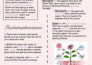 create aesthetic canva planners and study notes for students